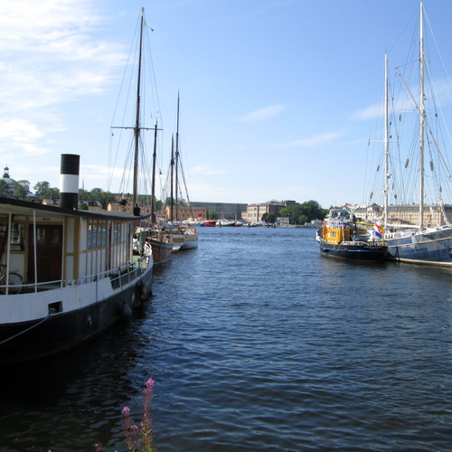 Kolmas lukijakuva viikolle 12